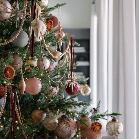 Close up tree