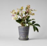 Tray for Basic Planter, Grey Patina - Image 3
