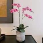 Lifelike 24" Pink Phalaenopsis Orchid - 2-Stem Faux Flower for Elegant Home Decor