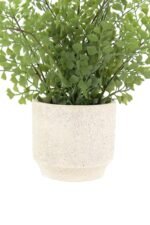 16" Faux Snake Plant & Fern Set - Image 6