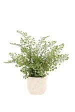 16" Faux Snake Plant & Fern Set - Image 7