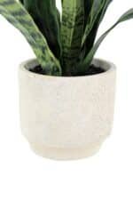 Elegant 16" Faux Snake Plant And Fern Set In Cream Pot - Lifelike Decor For Home Or Office - Image 9