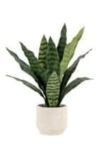 Elegant 16" Faux Snake Plant And Fern Set In Cream Pot - Lifelike Decor For Home Or Office - Image 8