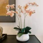 Lifelike 23" 4-Stem Orange Phalaenopsis Orchid - Elegant Faux Floral Decor