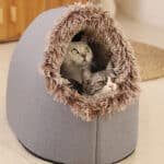 💥Hot sale 🐶🐱Pet Cozy Warm Cave Bed - Image 20
