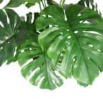 CG Hunter 4' Lifelike Monstera Plant in Sleek Gray Planter – Realistic Tropical Decor - Image 8