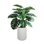 4' Monstera Plant in Modern Gray Planter - Image 9