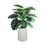 CG Hunter 4' Lifelike Monstera Plant in Sleek Gray Planter – Realistic Tropical Decor - Image 7