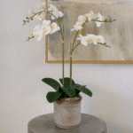 Lifelike 24 Inch 2-Stem White Phalaenopsis Orchid - Elegant Faux Floral Decor - Image 2
