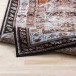 Tontitown Traditional Orange/Black Area Rug - Image 5