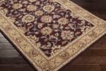 Paris Traditional Burgundy Area Rug - Image 16