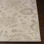 Eckville Traditional Light Gray Area Rug - Image 4