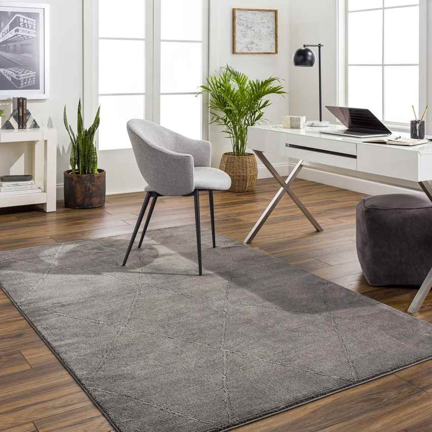 AAAB6733-roomscene_201_1629c0b0-f520-4709-be59-dd2e40f01f75-1 Pietro Global Charcoal Washable Area Rug - Image 1