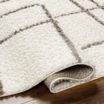 Lyndy Modern Beige/Dark Brown Area Rug - Image 5