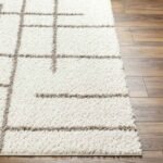Lyndy Modern Beige/Dark Brown Area Rug - Image 4