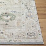 Jamena Traditional Beige Area Rug - Image 8