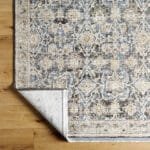 Tavian Traditional Beige/Denim Area Rug - Image 5