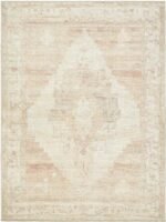 Luca Traditional Blush/Cream Area Rug - Becki Owens x Livabliss - Image 2