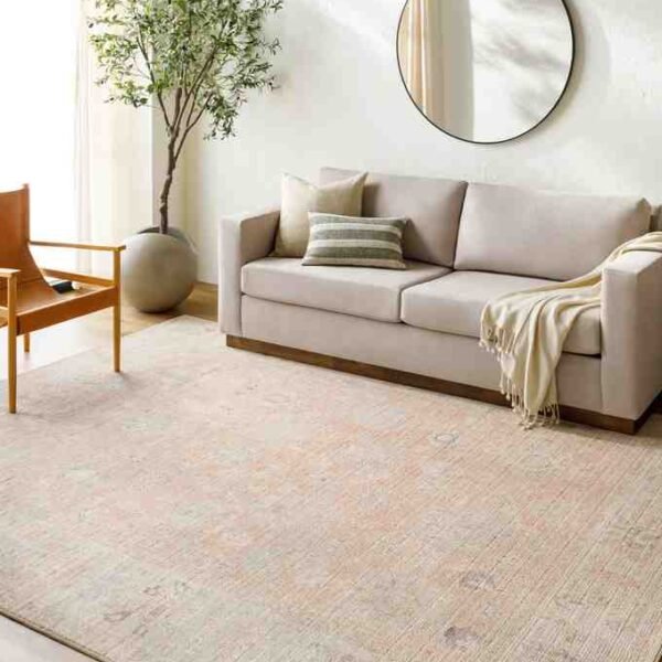 Marlene Traditional Dusty Pink Area Rug - Becki Owens x Livabliss