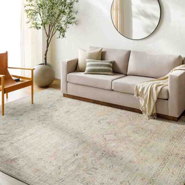 Marlene Traditional Medium Brown Area Rug - Becki Owens x Livabliss