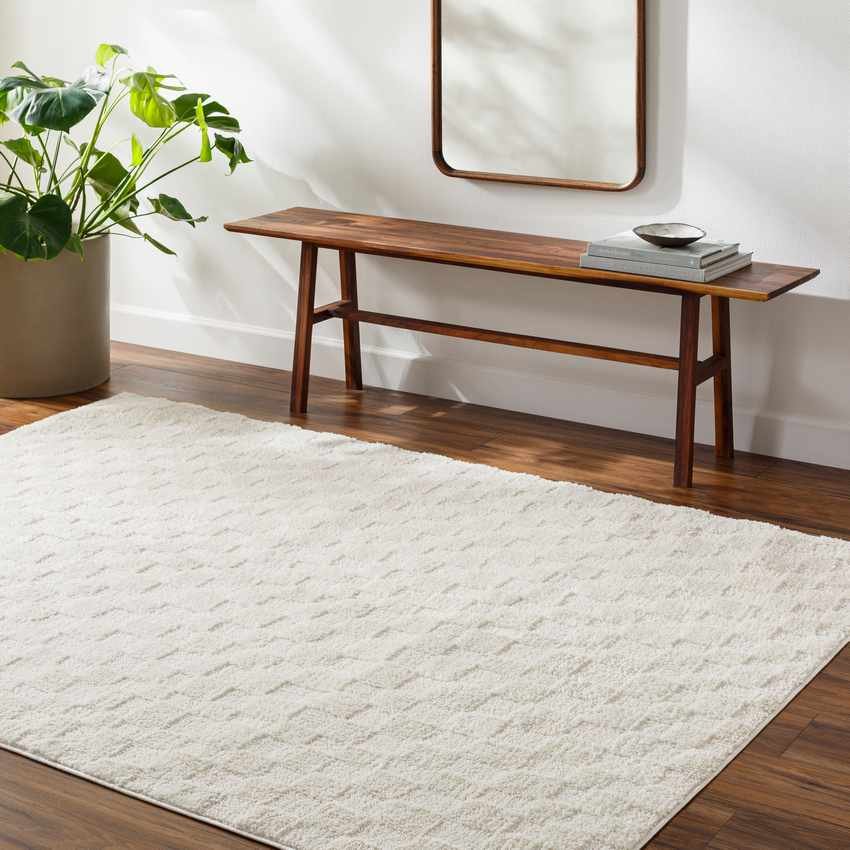 AAAB8413-roomscene_201_80a5a06a-e508-4b29-8f72-cb23fc8e466e-1 Isis Modern Off-White/Ivory Area Rug - Image 1