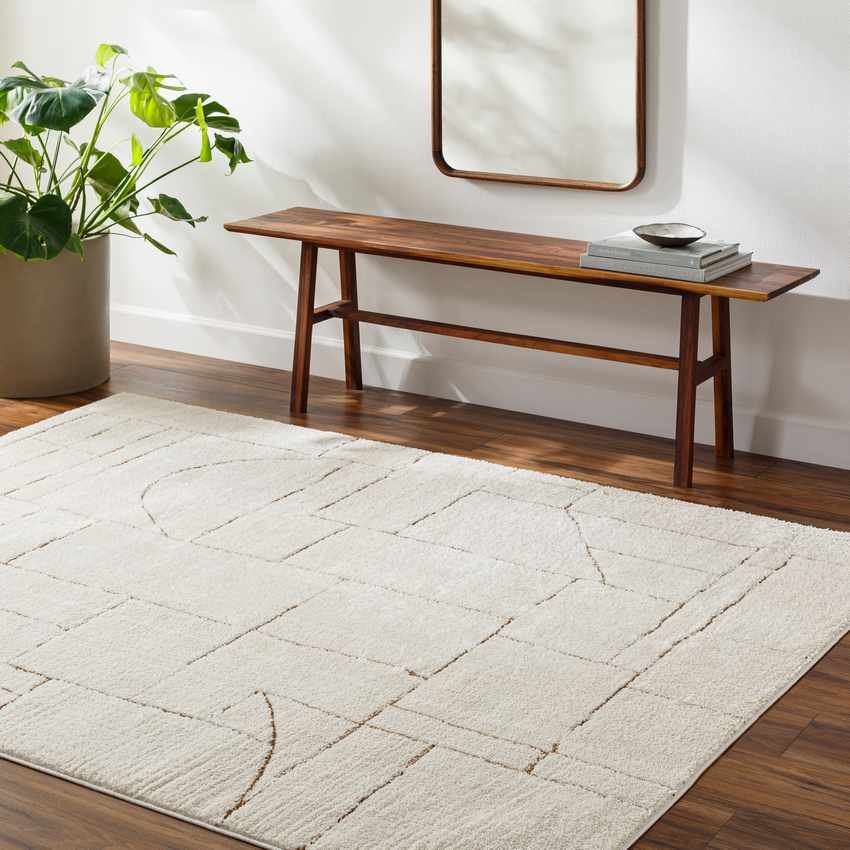 AAAB8415-roomscene_201-1 Sheritta Modern Ivory/Brown Area Rug - Image 1