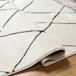Josue Modern Ivory/Black Area Rug - Image 4