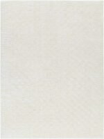 Zechariah Modern Ivory/Off-White Area Rug - Image 2