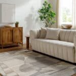 Orleans Modern Ash/Grey Area Rug