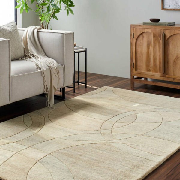 Besancon Modern Ash Area Rug