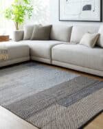 Quantisha Rustic Dark Grey Area Rug
