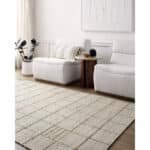 Sharilyn Modern Ash Area Rug