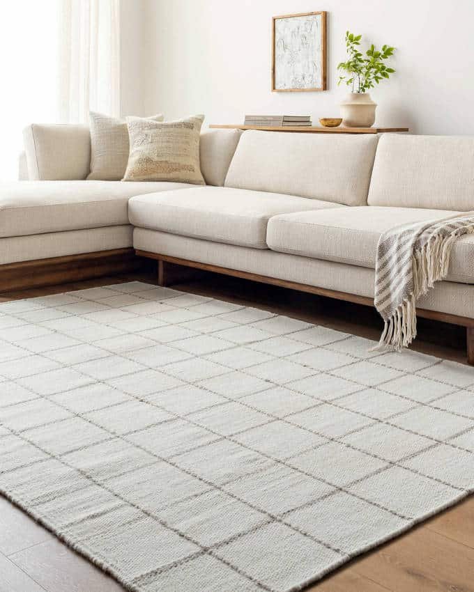 AAAB8695-576-roomscene_201_52ff4dc3-2efb-4b07-be33-a4696856f7d6-1 Ishaq Cottage Off-White Area Rug - Image 1