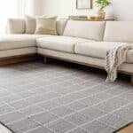 Ishaq Cottage Grey Area Rug