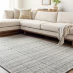 Ishaq Cottage Light Silver Area Rug