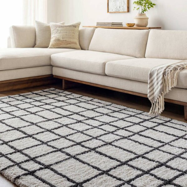 Alorton Modern White/Black Area Rug