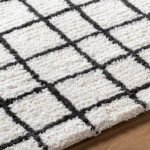 Alorton Modern White/Black Area Rug - Image 5