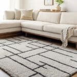 Ieasha Global Off-White/Onyx Area Rug