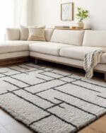 Ieasha Global Off-White/Onyx Area Rug