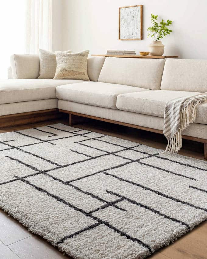 AAAB8813-576-roomscene_201-1 Ieasha Global Off-White/Onyx Area Rug - Image 1