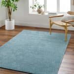 Jett Solid and Border Denim Area Rug