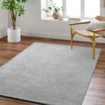 Jett Solid and Border Light Gray Area Rug