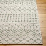 Vinkepas Global Sage Area Rug - Image 3