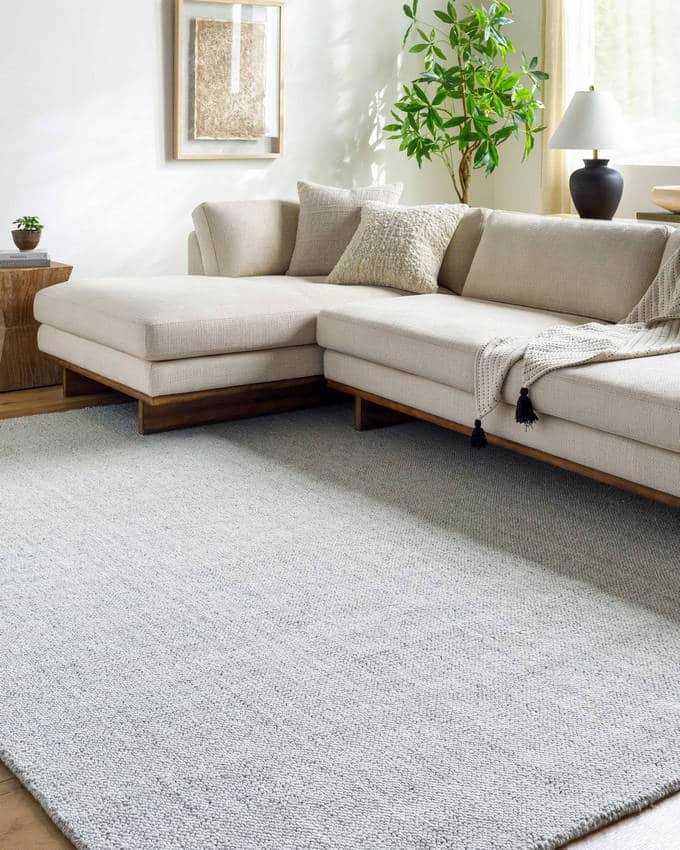 AAAB9068-810-roomscene_201-1 Kriste Cottage Silver Area Rug - Image 1