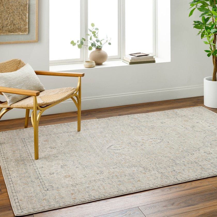 AAAB9460-roomscene_201-1 Kelon Traditional Light Beige/Charcoal Area Rug - Image 1