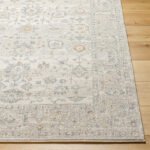 Johney Traditional Light Gray Area Rug - Image 2