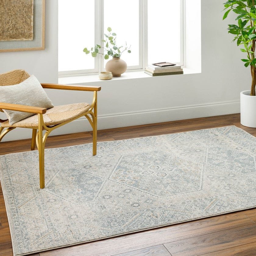 AAAB9470-roomscene_201_0a908597-bd09-40f5-b681-e0f6a5430f28-1 Demarco Traditional Denim/Charcoal Area Rug - Image 1