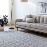 Richad Modern Gray Area Rug