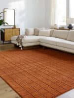 Nasreen Modern Rust Area Rug