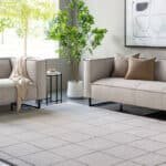 Isai Modern Gray Area Rug